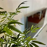 Fragueiro 186 * ヴィーゴ