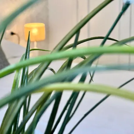 Apartment Fragueiro 186