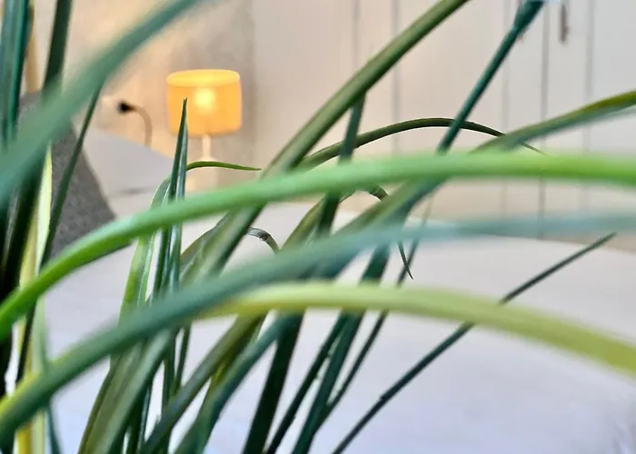 Apartment Fragueiro 186