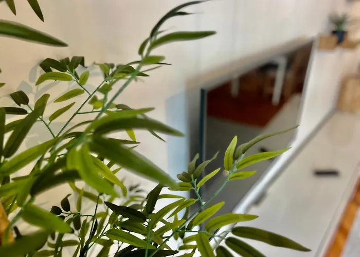 Fragueiro 186 * Comarca de Vigo